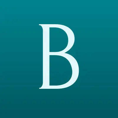 Бош Дизель Сервис, сервисный центр, лого-визитка